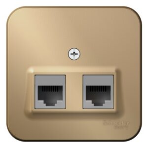Розетка Systeme Electric BLNIA045454